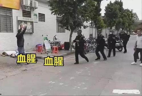 东莞凤岗爆料案件最新,真相渐明,疑云散去 第1张 东莞凤岗爆料案件最新,真相渐明,疑云散去 第1张